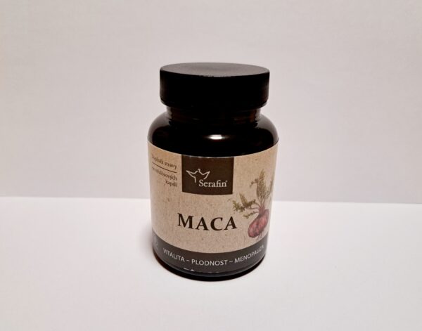 MACA